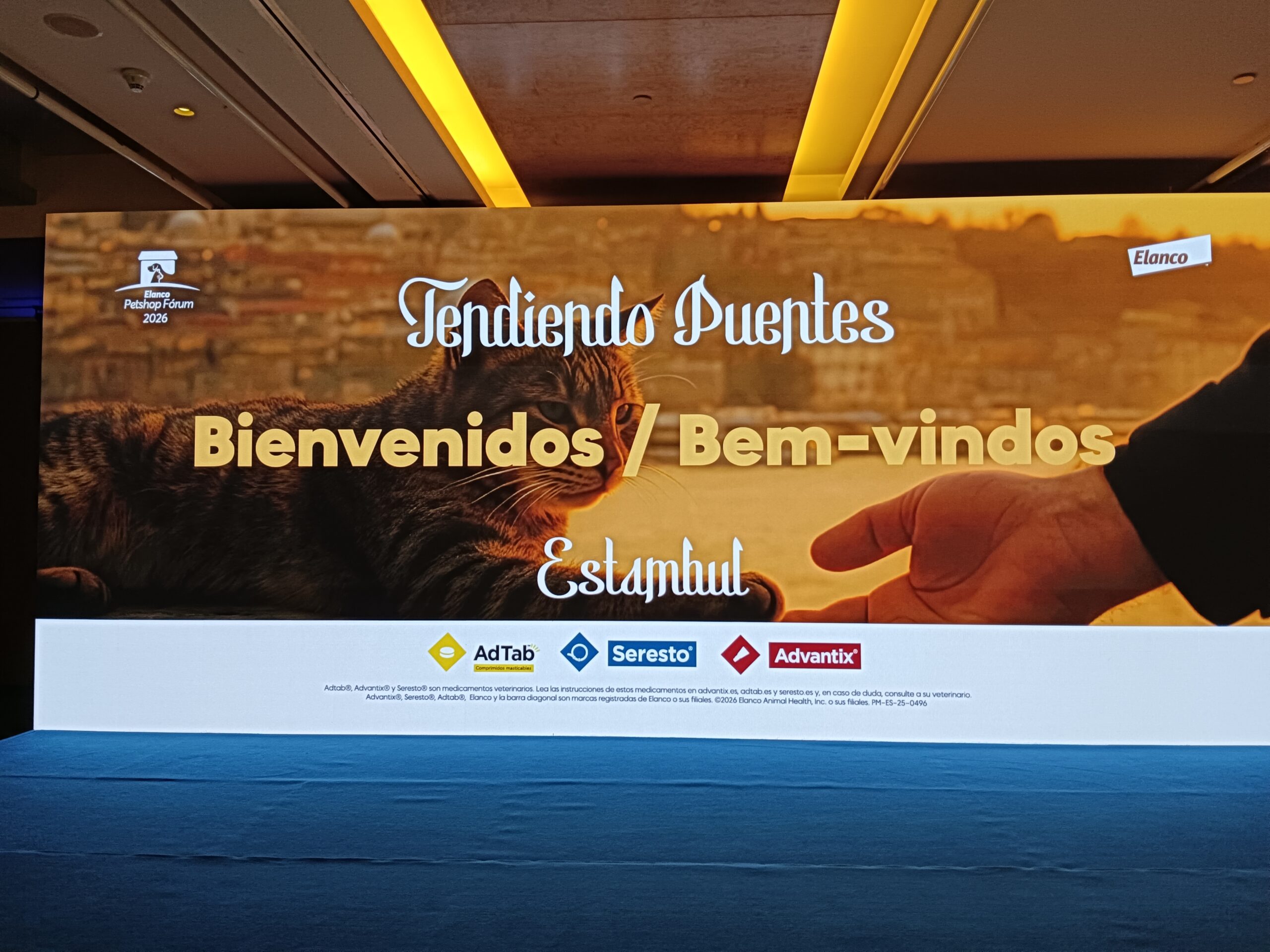 Tendiendo puentes… Desde Estambul!